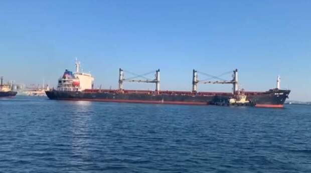 Первое судно с украинским зерном начали разгружать в Турции