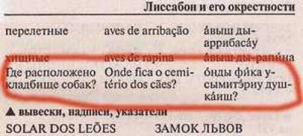 Те, кто соберется в Португалию, внимание! Этот вопрос поможет вам наладить коммуникацию с местными Те, кто соберется в Португалию, внимание! Этот вопрос поможет вам наладить коммуникацию с местными