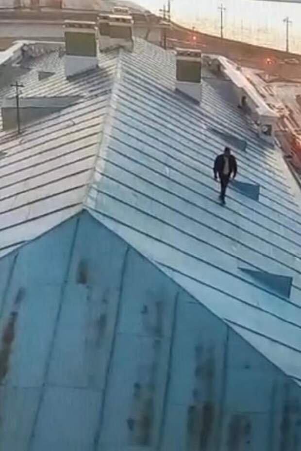 Видео: руфера сняли с крыши Кунсткамеры в Петербурге