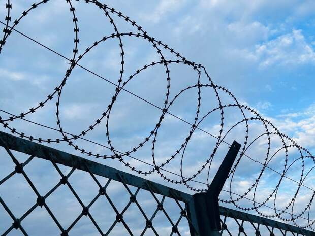 Жителя Пензы отправили в колонию-поселение после избиения чиновника