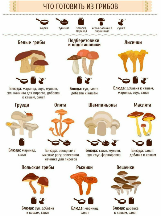 Полезные кухонные шпаргалки