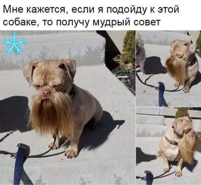 Улыбнись