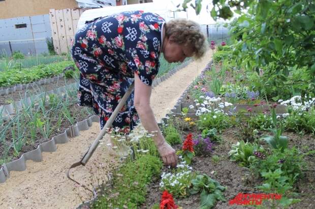 Зинаида Ивановна показывает, что в такой привычной для огородников позе она не работает, только стоя в полный рост