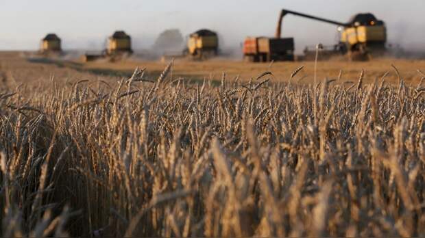 Ouest-France: Россия побьёт советский рекорд по сбору зерна 