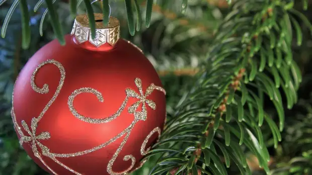 Опрос: россияне рассказали о подготовке к Новому году