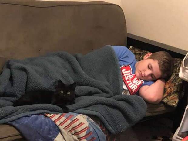 мальчик спит рядом с кошкой