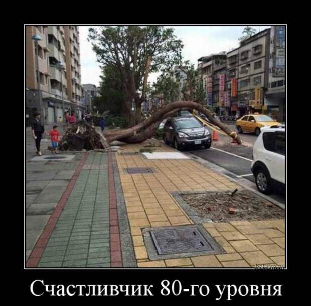 Забавные демотиваторы для поднятия настроения (11 фото) Забавные демотиваторы для поднятия настроения (11 фото)