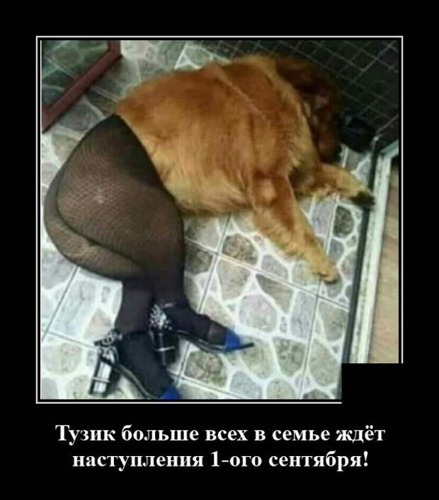 demotivatory-demotivator-smeshnye-demotivatory-demotivator-so-smyslom
