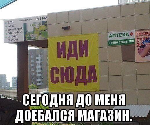Веселые картинки с надписями Веселые картинки с надписями
