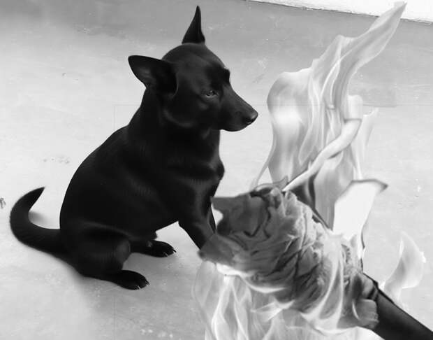 Нелюдь и Черныш