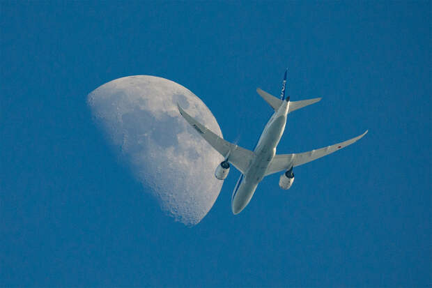 Пассажирский самолет отказался от аварийной посадки в России и вернулся в Японию