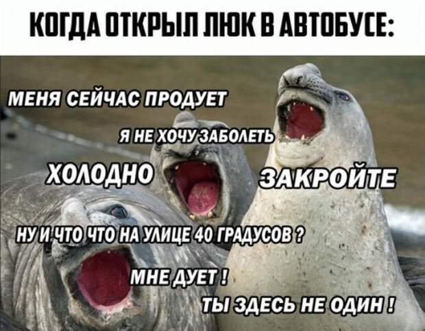 Смешные анекдоты в середине недели (12 шт)