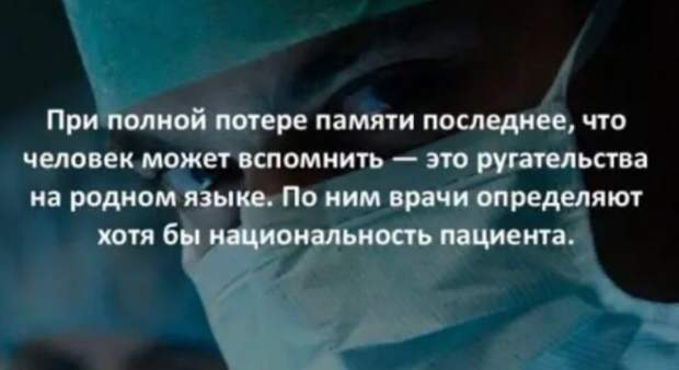 Юмор на любителя Юмор на любителя