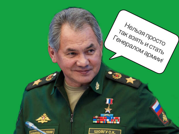 Министр обороны Серегей Шойгу. Генерал армии РФ