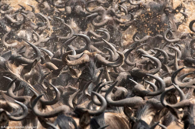 Лучшие фотографии Африки 2020