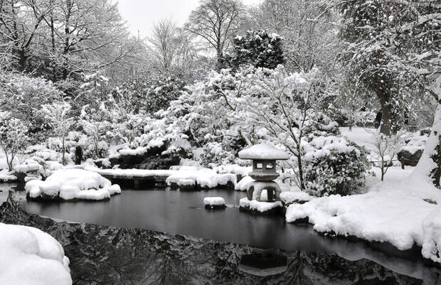 Kyoto garden (Лондон, Великобритания Kyoto garden (Лондон, Великобритания