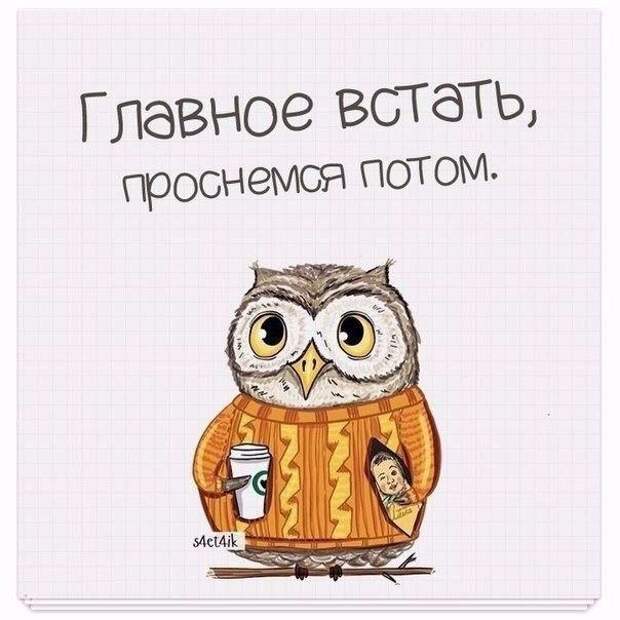 Позитив на утро