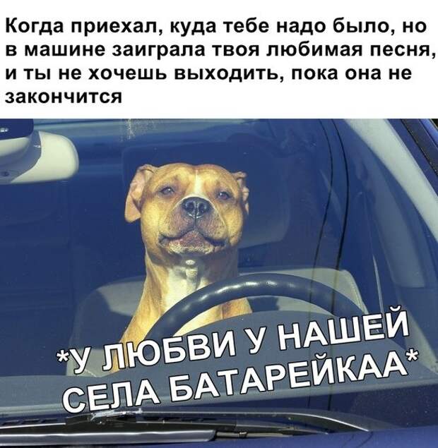 инторнэтное насобиралово