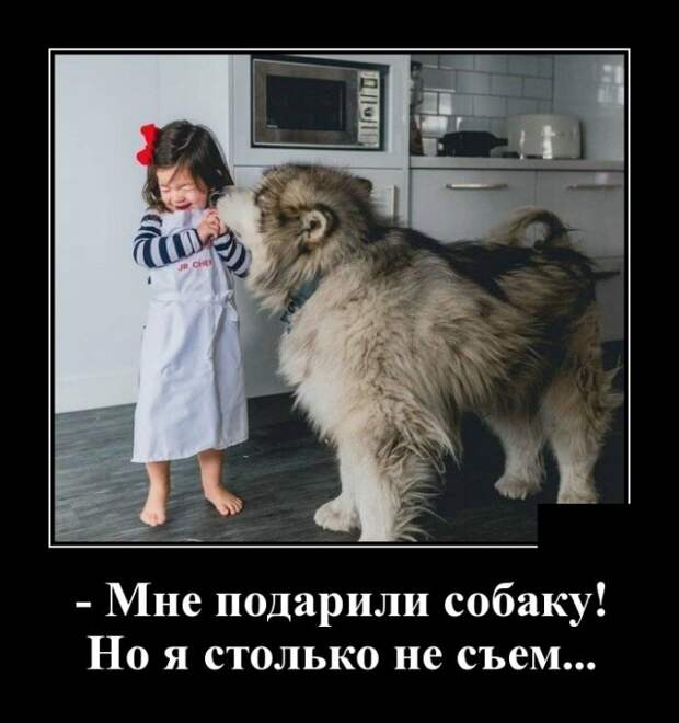 demotivatory-demotivator-smeshnye-demotivatory-demotivator-so-smyslom