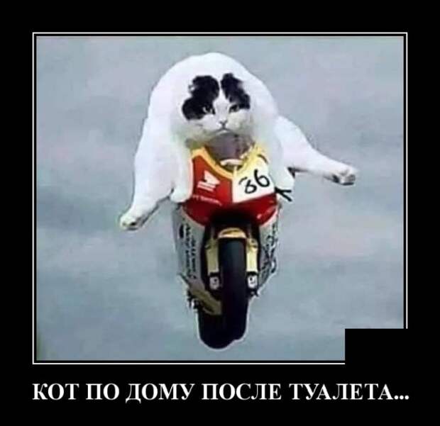 demotivatory-demotivator-smeshnye-demotivatory-demotivator-so-smyslom