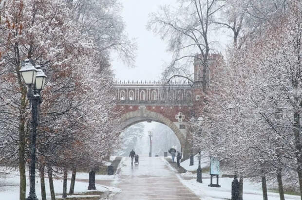 Посетивший Москву японский депутат отметил мощь России