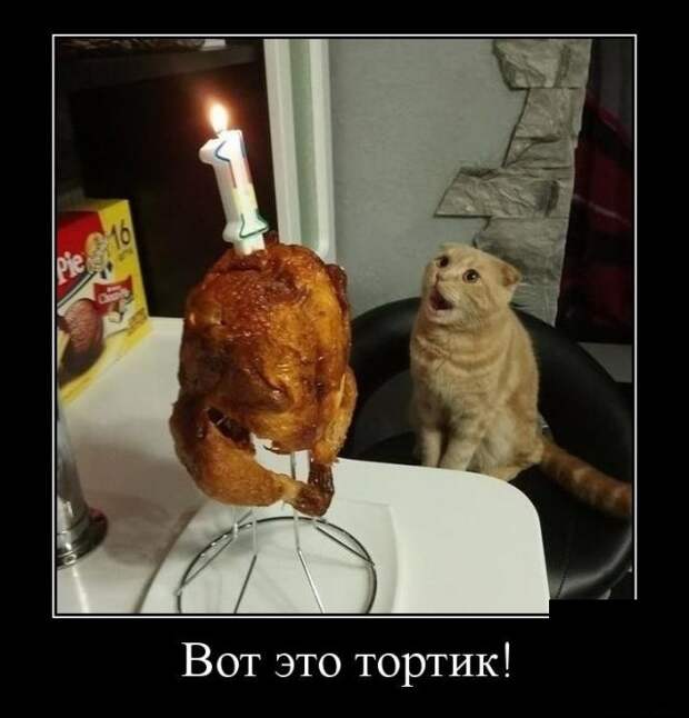 www.vsyako.net