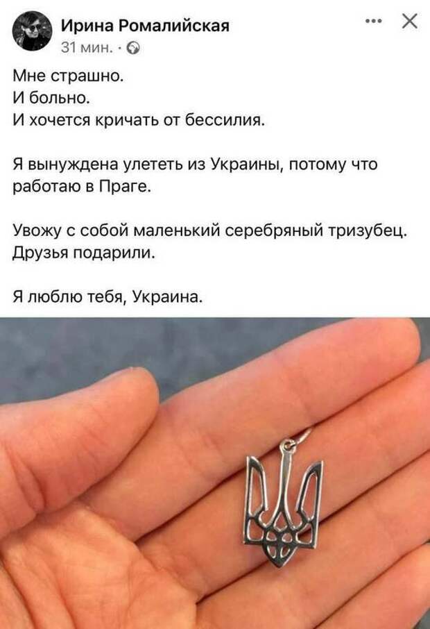 Падающий сокол или клеймо для скотины? Украинский политолог объяснил, что такое «трезубец»