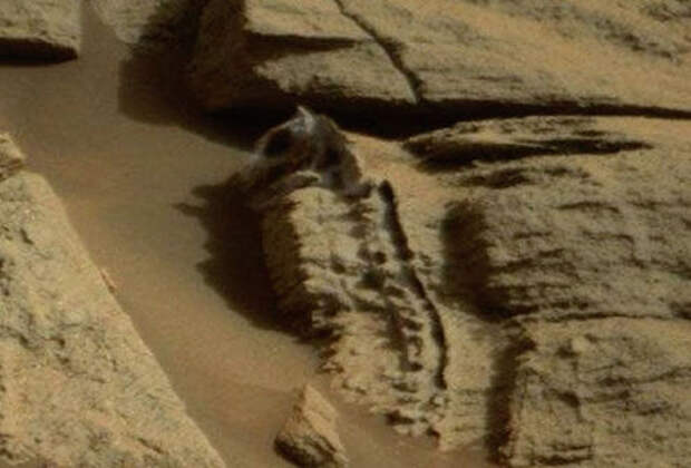 Фото: доисторической рептилии на Марсе