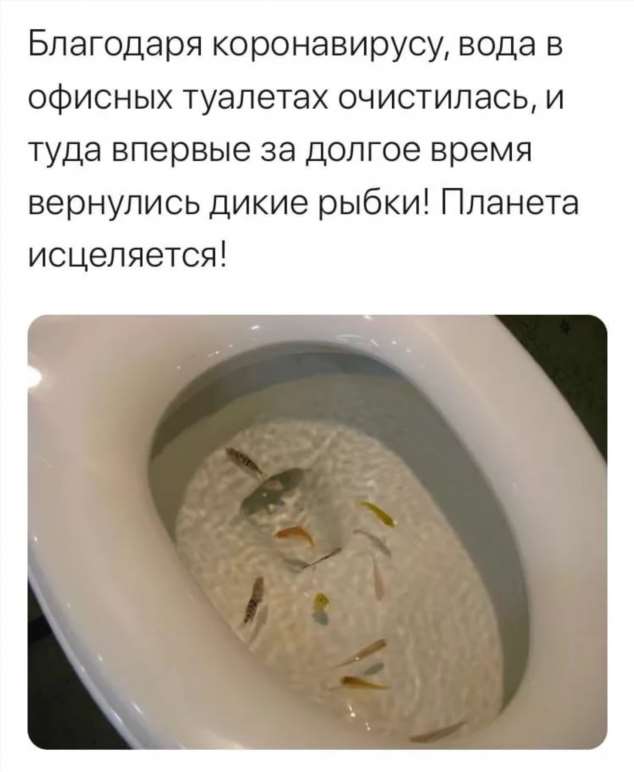 Демотиваторы про коронавирус с надписями. Подборка chert-poberi-dem-koronavirus-chert-poberi-dem-koronavirus-55330614122020-1 картинка chert-poberi-dem-koronavirus-55330614122020-1