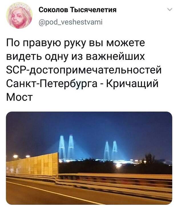 Подборка забавных твитов обо всем