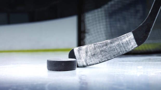 Московское "Динамо" победило "Автомобилист" в рамках КХЛ