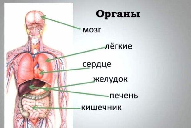 1)).jpg 1jpg