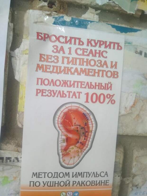 Странные объявления в Интернете и реальной жизни