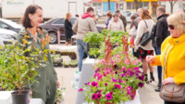 В Иванове пройдет «Фестиваль сада и огорода»