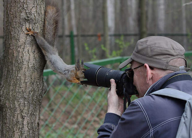 Безумные фотографы