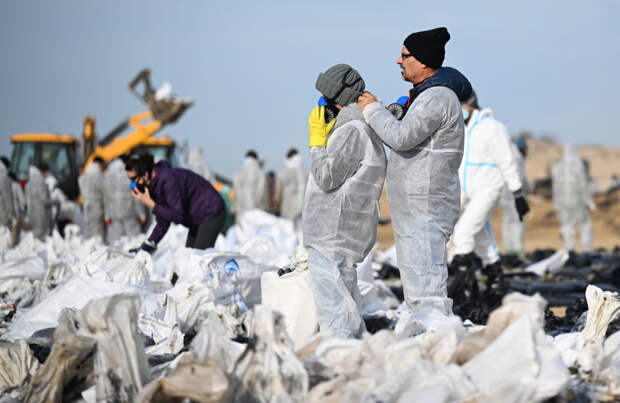 Раскрыто число попавших в больницу участников уборки мазута с российских пляжей