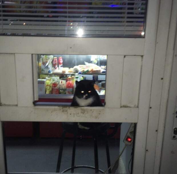 Что-то с реальностью не всё в порядке