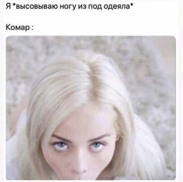 Забавные шутки и мемы из Сети