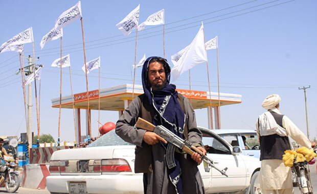 Bloomberg (США): агония оставленных в Афганистане американских «агентов перемен»