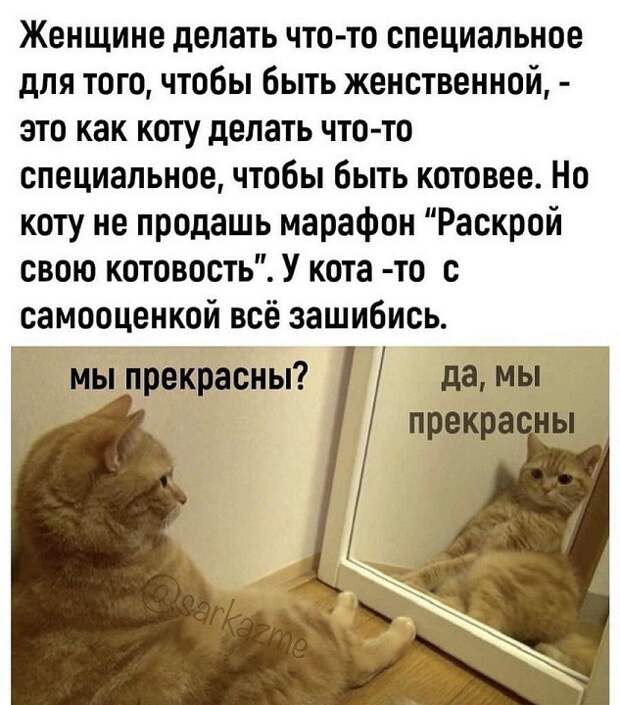 Подборка шуток