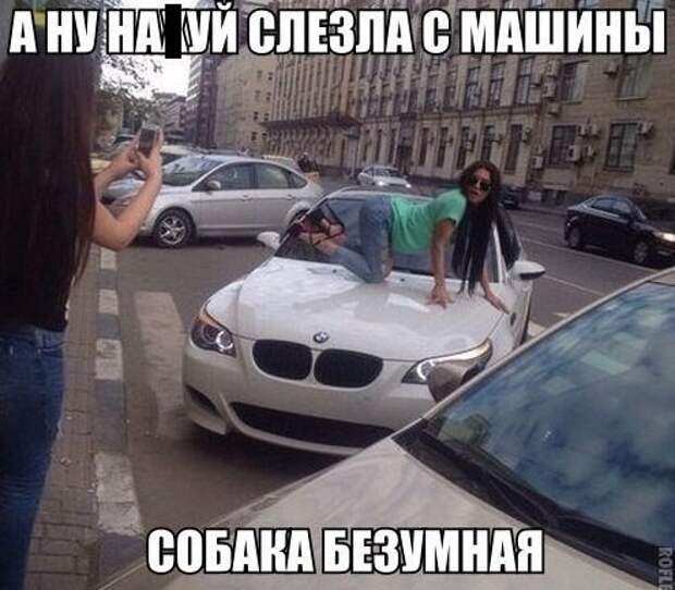 Веселые картинки с надписями Веселые картинки с надписями