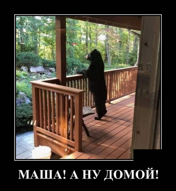 Демотиваторы (20 фото)