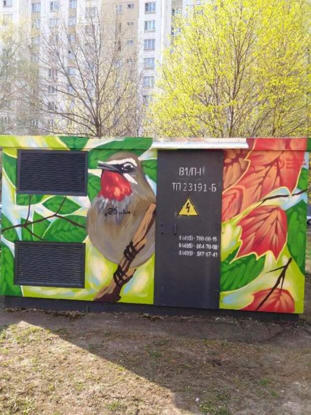 фото: Наталья Соколова