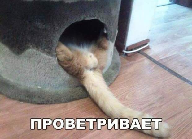 Прикольные картинки (30 фото)