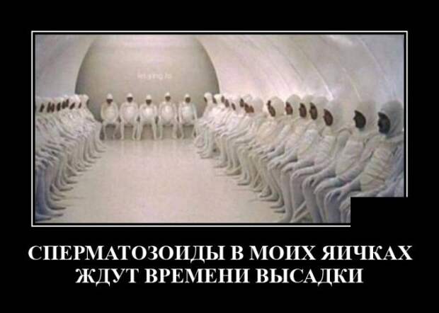 Демотиваторы 17 декабря 2021 года