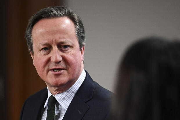 МИД Британии: Кэмерон начал переговоры о столетнем сотрудничестве с Украиной