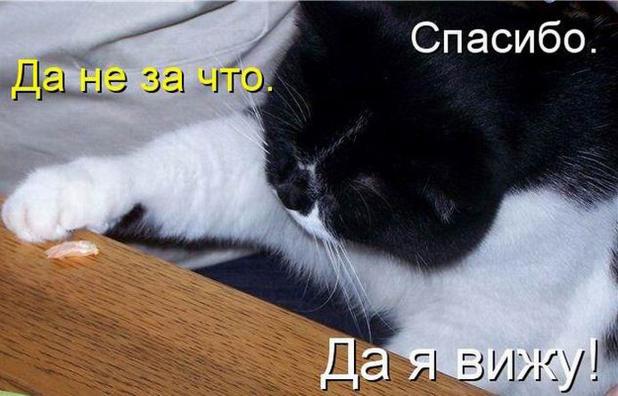 Мысли вслух :)