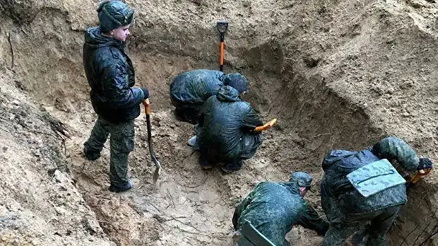 Эксперт прокомментировала поисковые работы в Псковской области