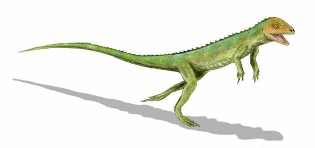 Болозавр