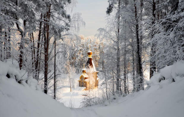 Зимний пейзаж.